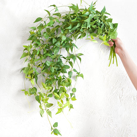 Versatile Decor Delight: Lush 28ft 10-Vine Set of Elegant Artificial Silk Clematis Leaves for Any Occasion or Event