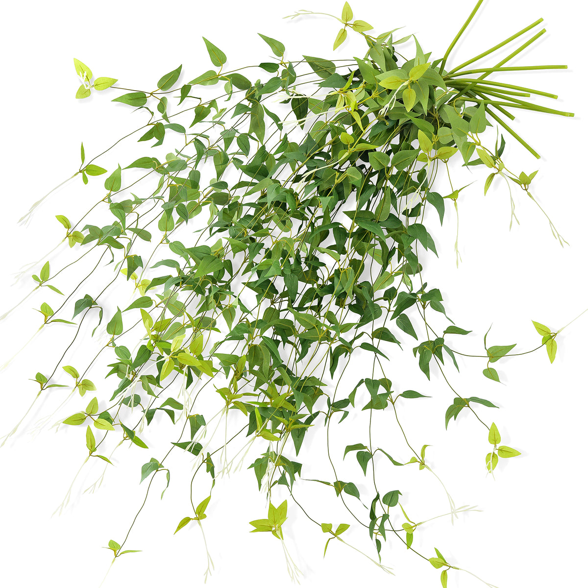 Versatile Decor Delight: Lush 28ft 10-Vine Set of Elegant
