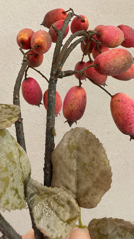 Weathered dusty coral red rosehip berries and artificial leaves