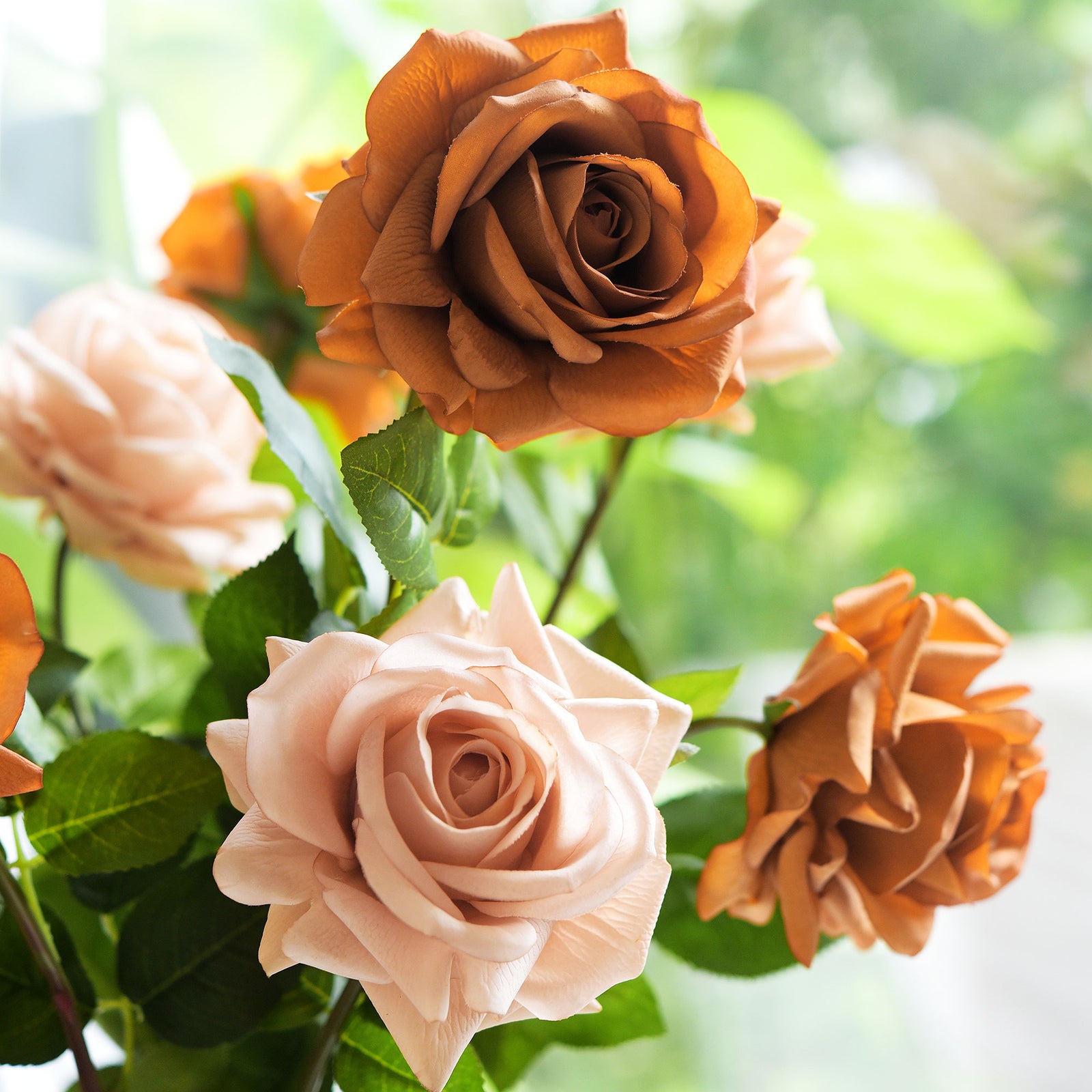 6 Long Stems Rust Orange Real Touch Garden Roses Large Blooms