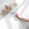 Translation missing: pt-PT.sections.featured_product.gallery_thumbnail_alt
