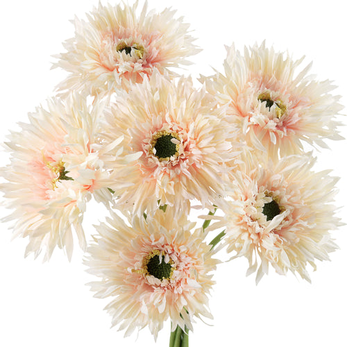 Light Peach Spider Gerbera Daisies Silk Flowers Real Looking Artificial flowers Home Décor 16.5'' (6 Stems) FiveSeasonStuff
