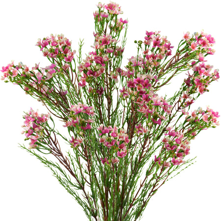 Summer Pink Artificial Wax Flower Stems, Set of 6, 2.6 ft