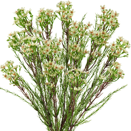 Floral White Artificial Wax Flower Stems, Set of 6, 2.6 ft