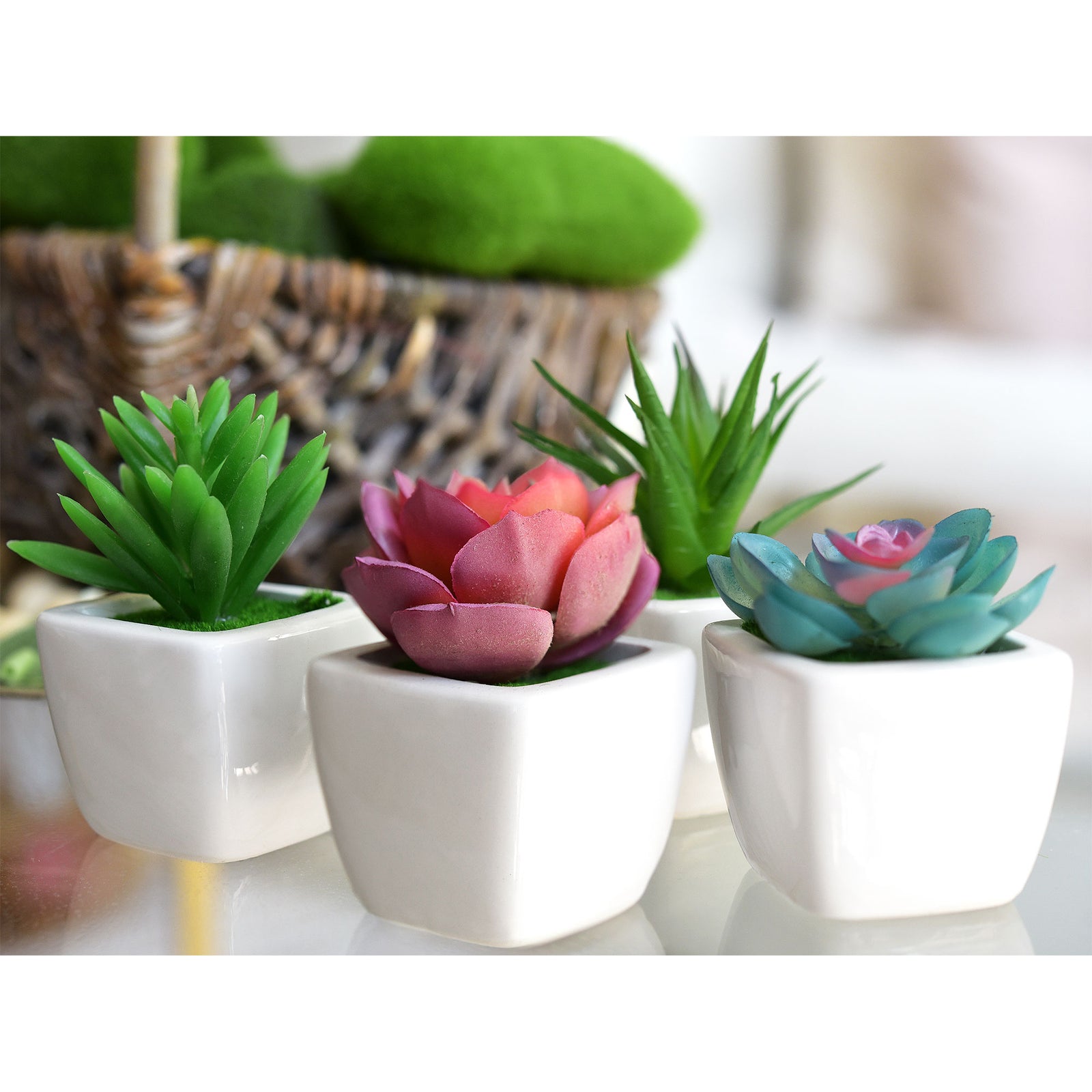 Set of 4 Mini Artificial Potted Green Succulent Plants/Faux Bonsai Aloe (Style C)