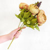 Translation missing: es.sections.featured_product.gallery_thumbnail_alt
