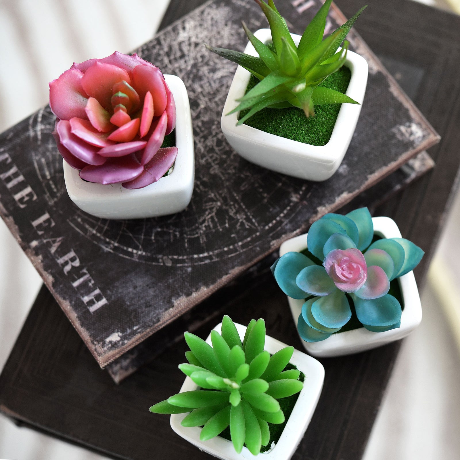 Set of 4 Mini Artificial Potted Green Succulent Plants/Faux Bonsai Aloe (Style C)