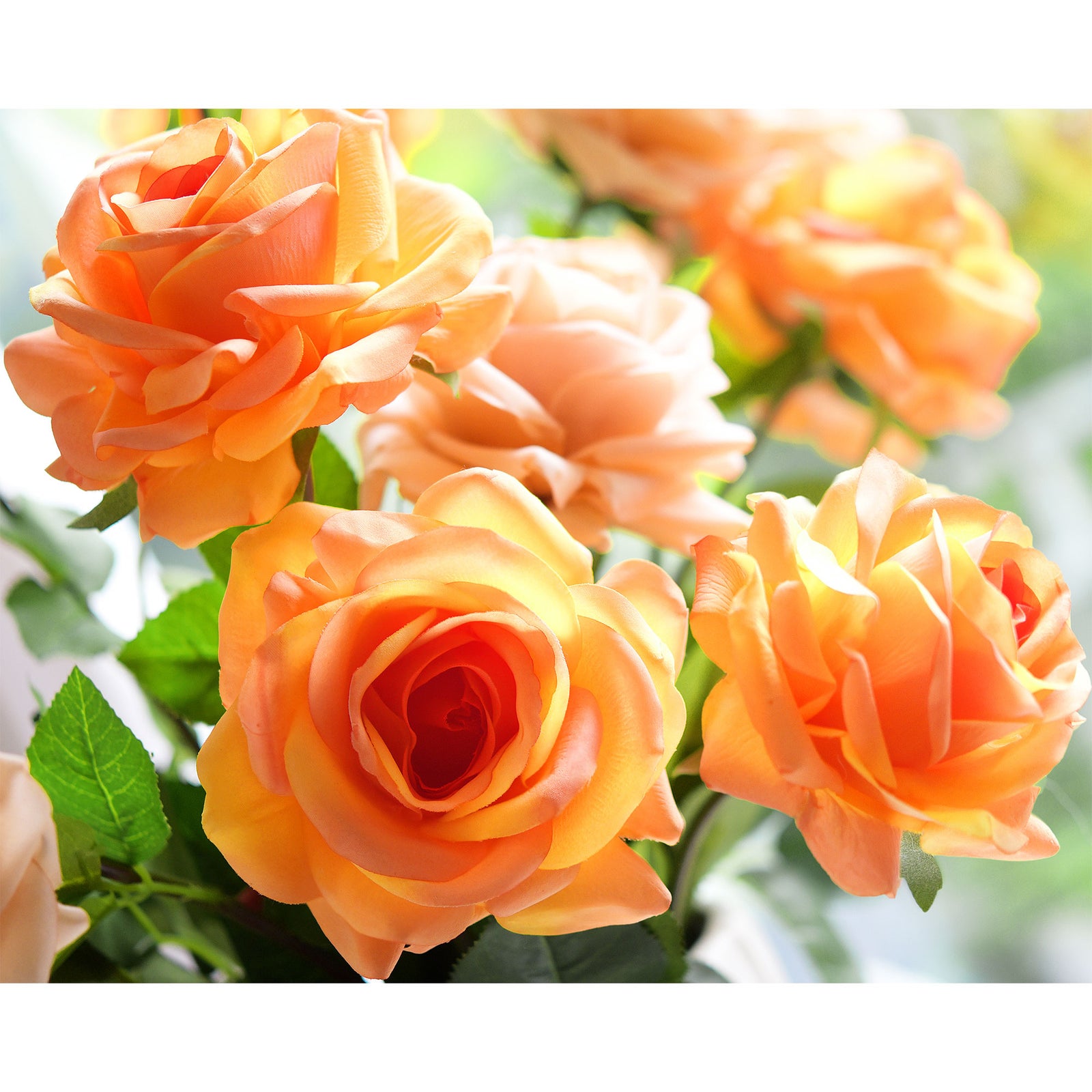 6 Long Stems Sunglow Orange Real Touch Garden Roses Large Blooms