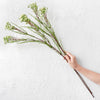 Translation missing: nl.sections.featured_product.gallery_thumbnail_alt
