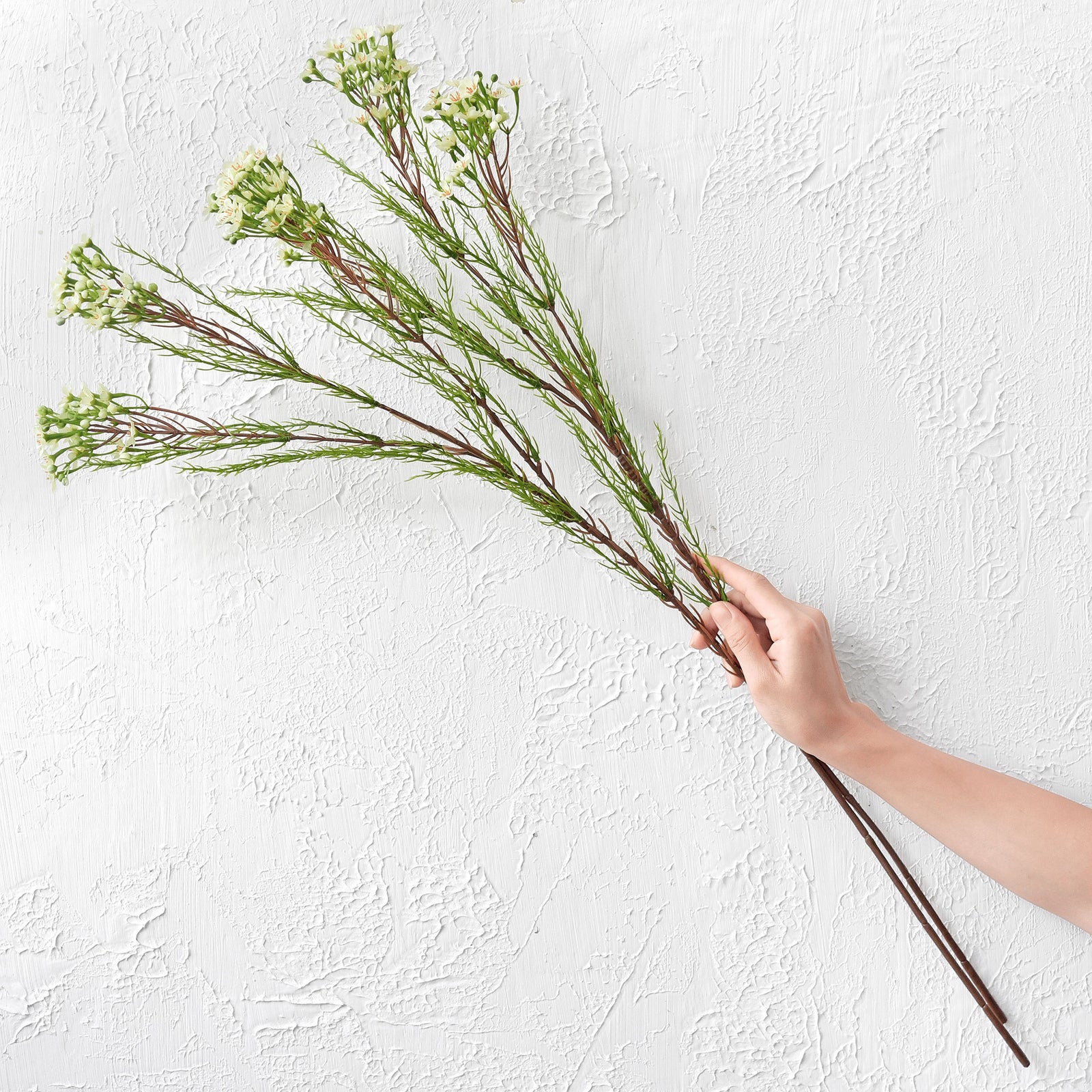 Floral White Timeless Charm Wax Flowers, Long Stem Artificial Silk Flowers 6 Stems 2.6ft (78cm) Tall