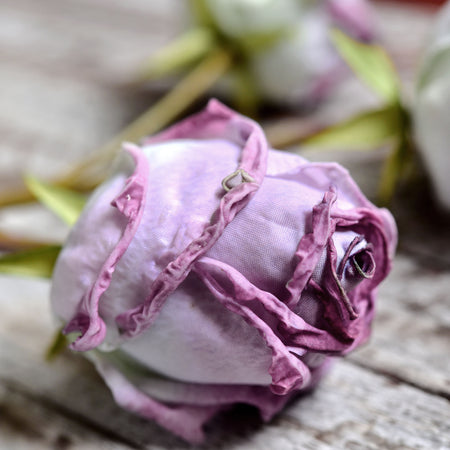 Dusty Purple Dried Look Real Touch  Silk Roses Artificial Flowers 4 Stems