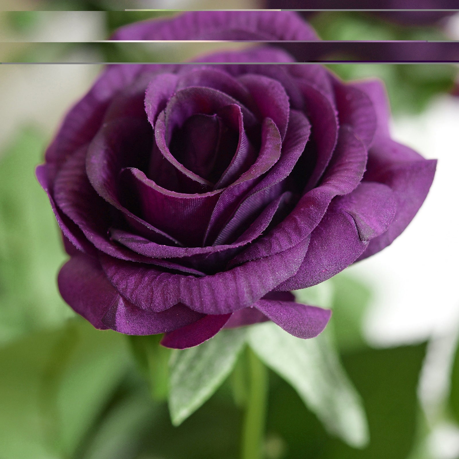 Real Touch 10 Stems Dark Purple Silk Artificial Roses Flowers ‘Petals Feel and Look like Fresh Roses'