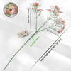 Translation missing: pt-PT.sections.featured_product.gallery_thumbnail_alt
