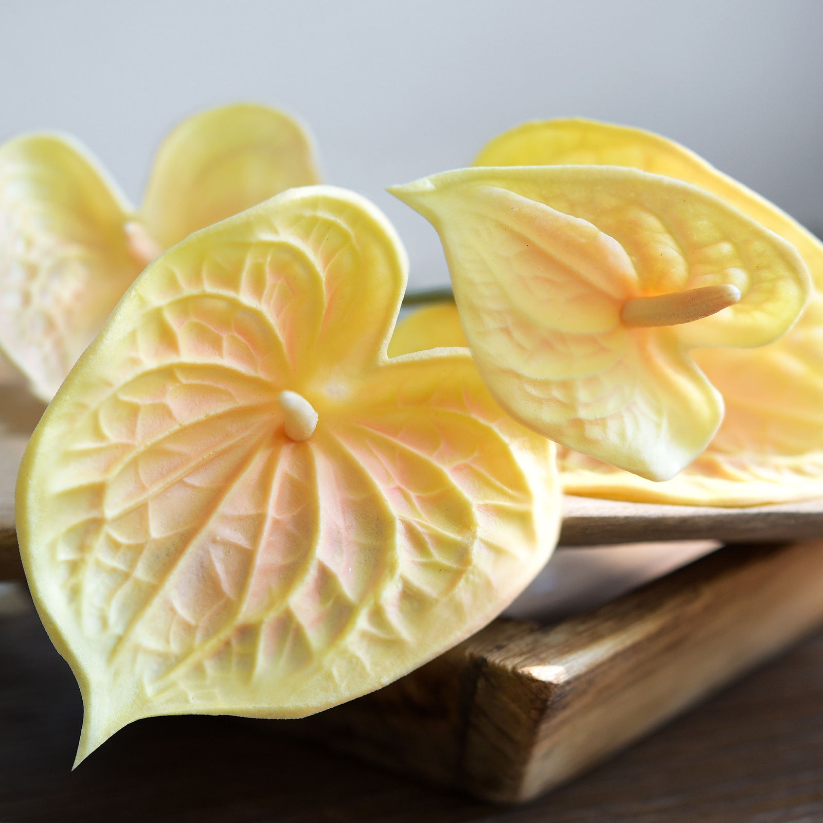 peach anthurium Anthurium Flower 'Peach Yellow' Real Touch Artificial Flowers, 16.5” 4 – FiveSeasonStuff