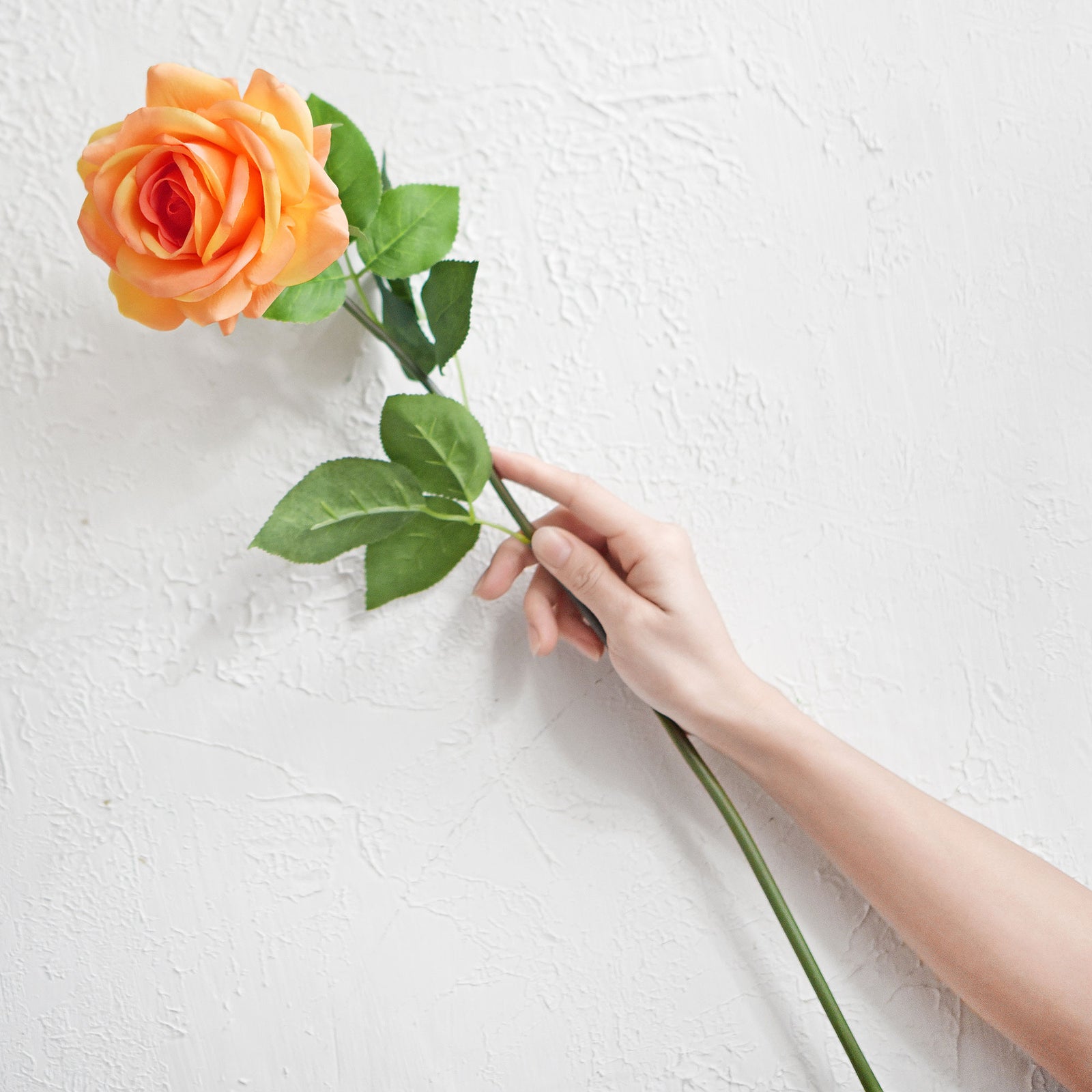 6 Long Stems Sunglow Orange Real Touch Garden Roses Large Blooms