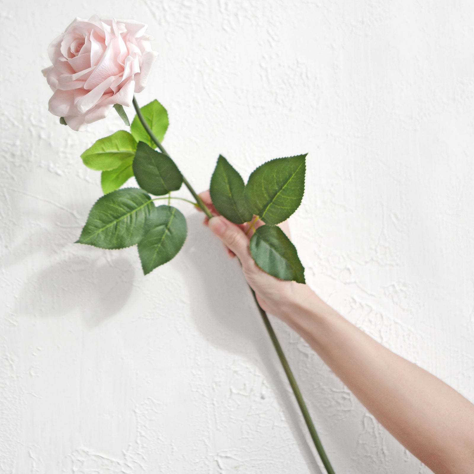 6 Long Stems Faded Pink Real Touch Garden Roses Large Blooms