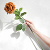 Translation missing: pt-PT.sections.featured_product.gallery_thumbnail_alt
