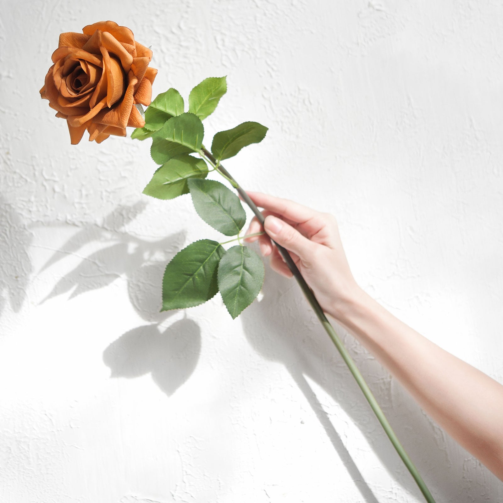 6 Long Stems Rust Orange Real Touch Garden Roses Large Blooms