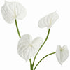 Translation missing: nl.sections.featured_product.gallery_thumbnail_alt
