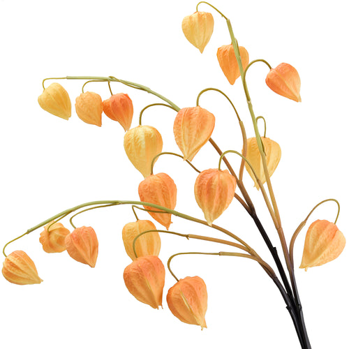 Artificial Chinese Lantern Stems – Golden Apricot (Light Orange) – Set of 3