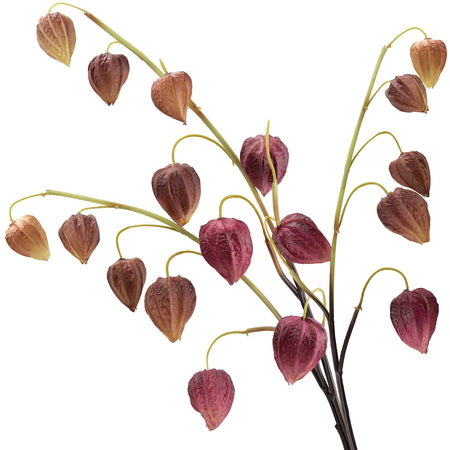 Artificial Chinese Lantern Stems – Plum Spice (Plum-Brown) – Set of 3