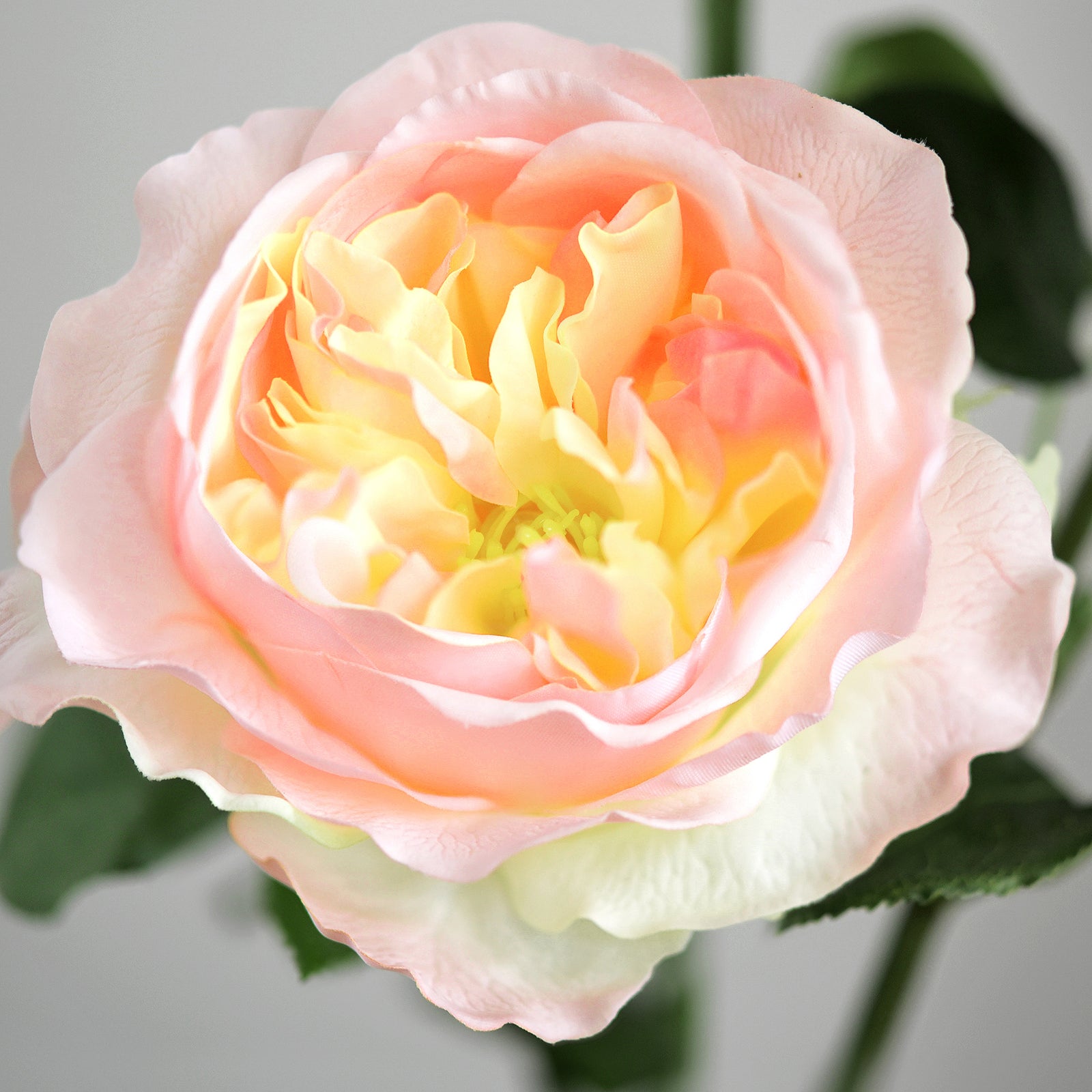 Sundown Pink Real Touch Garden Roses Large Blooms 2 Long Stems