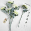 Translation missing: pt-PT.sections.featured_product.gallery_thumbnail_alt
