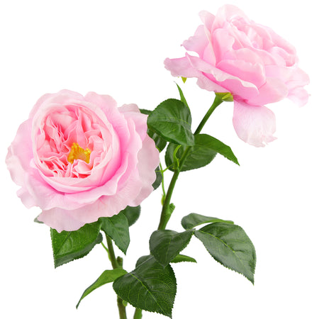 Powder Pink Real Touch Garden Roses Large Blooms 2 Long Stems