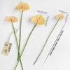 Translation missing: nl.sections.featured_product.gallery_thumbnail_alt
