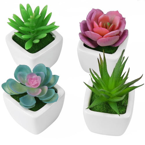 Set of 4 Mini Artificial Potted Green Succulent Plants/Faux Bonsai Aloe (Style C)
