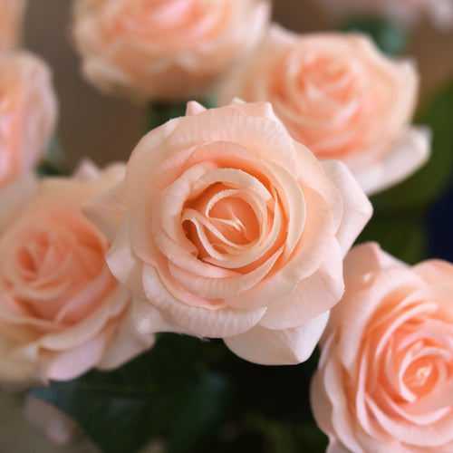 Peach Real Touch Silk Artificial Flowers ‘Petals Feel and Look like Fresh Roses 10 Stems