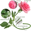 Translation missing: pt-PT.sections.featured_product.gallery_thumbnail_alt
