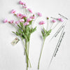 Translation missing: nl.sections.featured_product.gallery_thumbnail_alt
