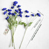 Translation missing: nl.sections.featured_product.gallery_thumbnail_alt
