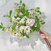 Translation missing: nl.sections.featured_product.gallery_thumbnail_alt
