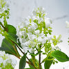 Translation missing: nl.sections.featured_product.gallery_thumbnail_alt
