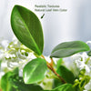 Translation missing: nl.sections.featured_product.gallery_thumbnail_alt

