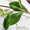 Translation missing: nl.sections.featured_product.gallery_thumbnail_alt
