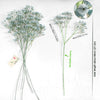 Translation missing: pt-PT.sections.featured_product.gallery_thumbnail_alt
