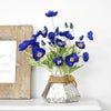 Translation missing: nl.sections.featured_product.gallery_thumbnail_alt
