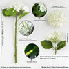 Translation missing: it.sections.featured_product.gallery_thumbnail_alt
