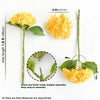 Translation missing: fr.sections.featured_product.gallery_thumbnail_alt
