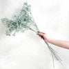 Translation missing: pt-PT.sections.featured_product.gallery_thumbnail_alt
