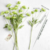 Translation missing: nl.sections.featured_product.gallery_thumbnail_alt
