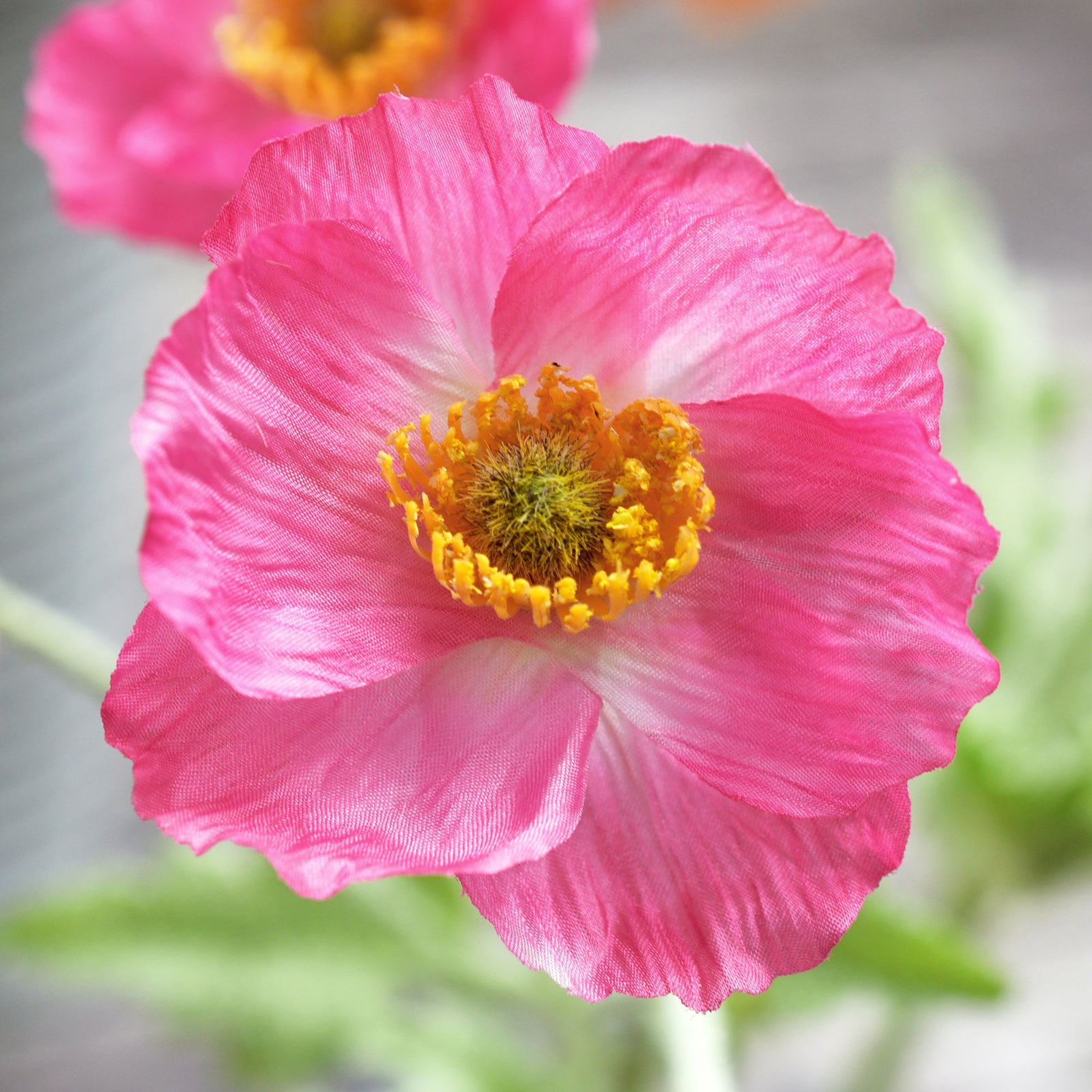 Pink Silk Poppies Artificial Flower Bouquet for Remembrance Home Wedding 6 Stems 23.6'' (60cm)