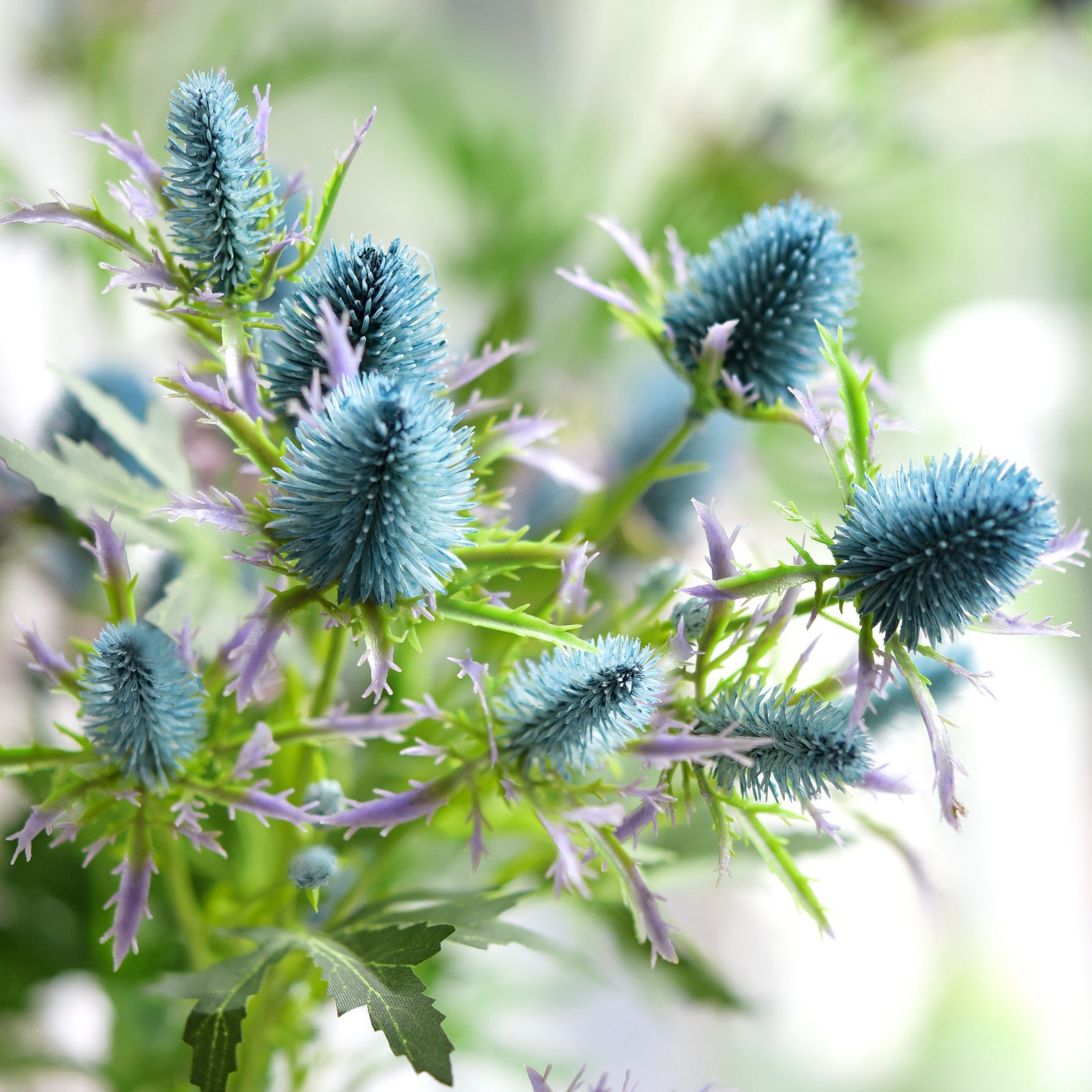 Real Life Size Artificial Real Touch Eryngium (Sea Holly) Northern Lights Blue Thistles (5 Stems)