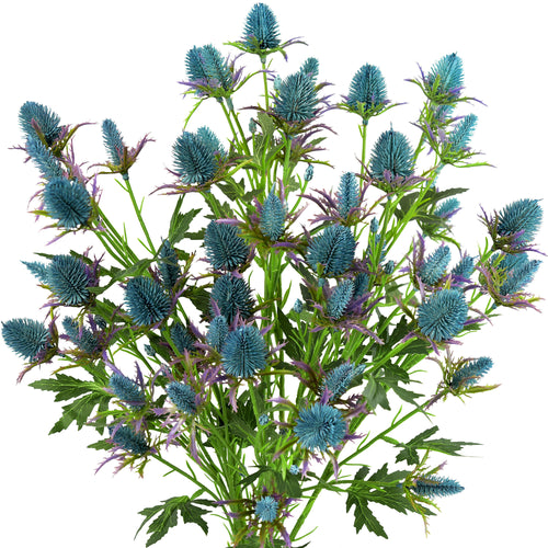 Real Life Size Artificial Real Touch Eryngium (Sea Holly) Northern Lights Blue Thistles (5 Stems)