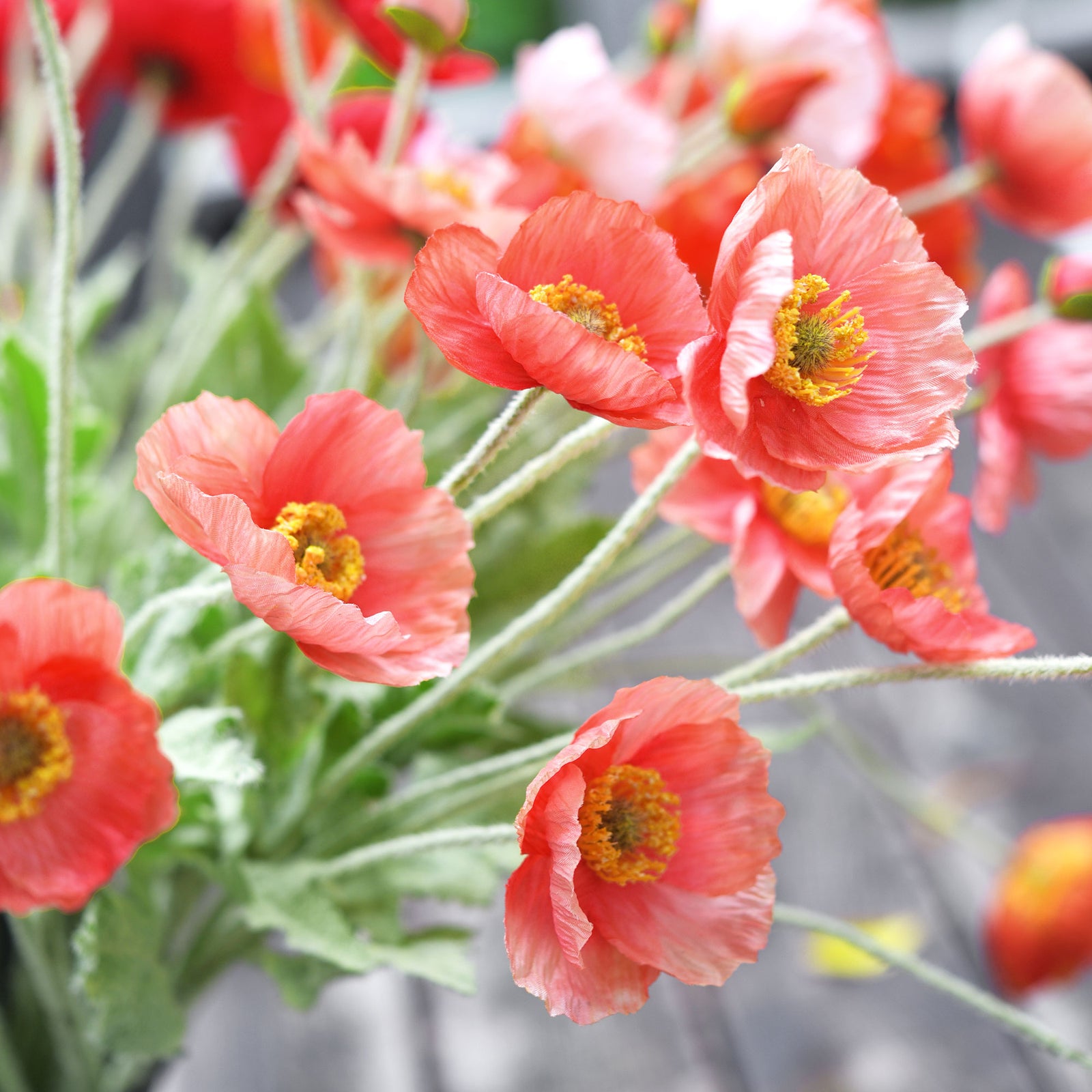 Coral Pink Silk Poppies Artificial Flower Bouquet for Remembrance Home Wedding 6 Stems 23.6'' (60cm)