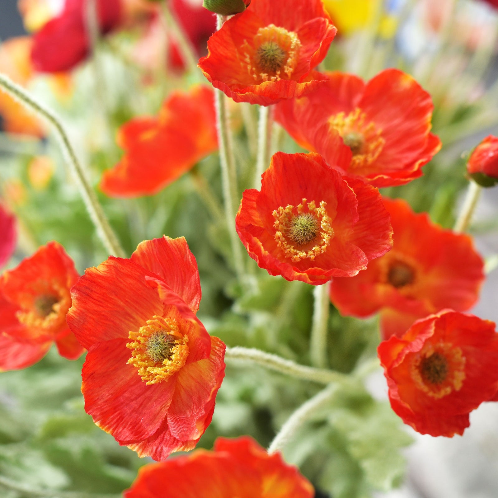 Burning Orange Silk Poppies Artificial Flower Bouquet for Remembrance Home Wedding 6 Stems 23.6'' (60cm)