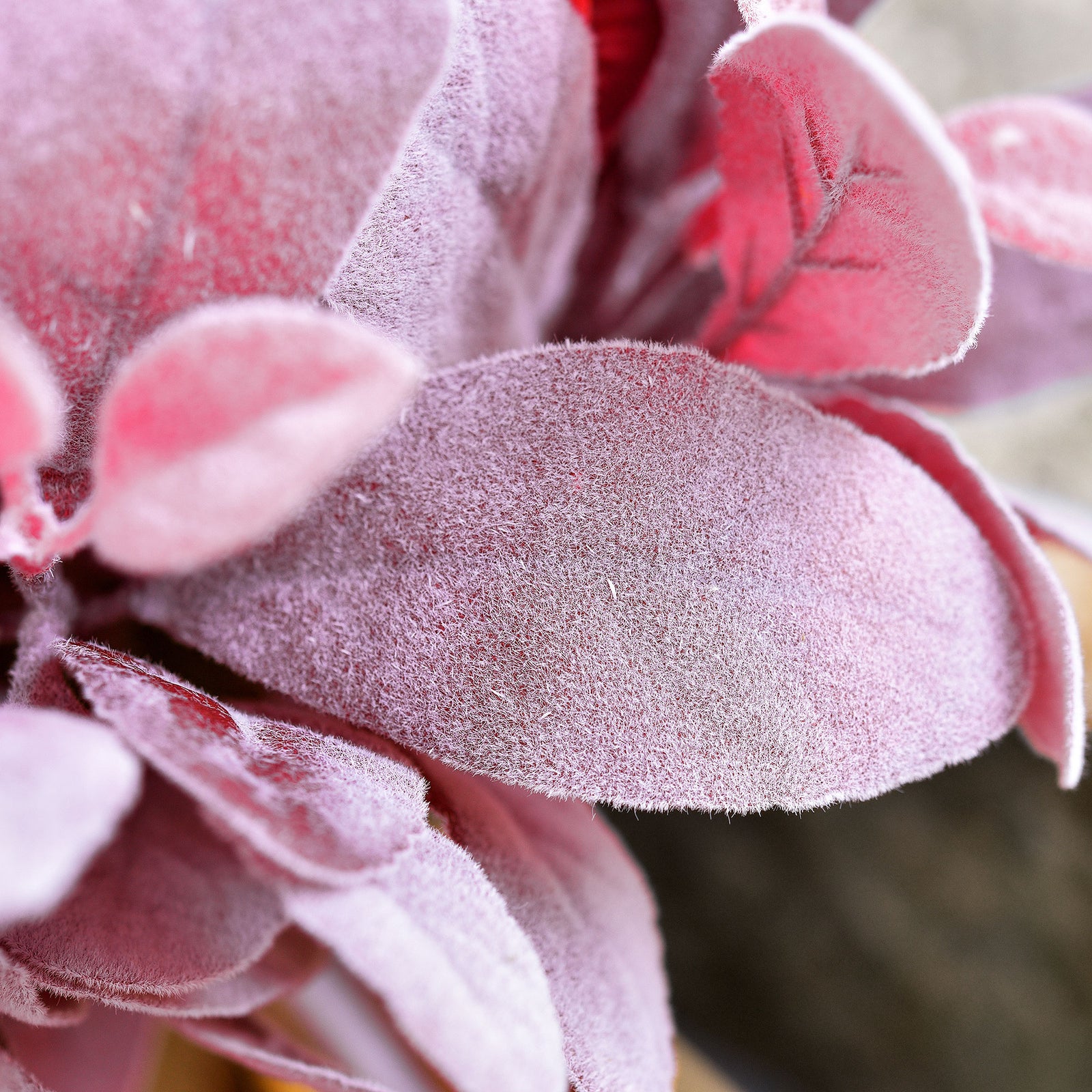 FiveSeasonStuff Lusty Lavender Pink Lamb's Ear Artificial Greenery Bush Plants for Wedding Flower Fillers DIY Bouquets and Floral Arrangements (6 Stems 14 inches Tall)